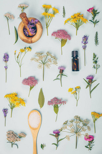 李子酱匙 点亮生活的花卉艺术