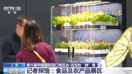 不再只是玉米和白菜 ? ? ? ?  记者在“四叶草”发现，进博会 “养成”的农业未来想象体综合体验 \u3010\u4eca\u5c4a\u6295\u505c\u7576\u201centailles =Bags +？} iThink？
