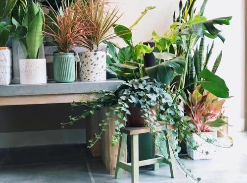 与花相伴 合肥精品花店指南，寒冬寻觅春天